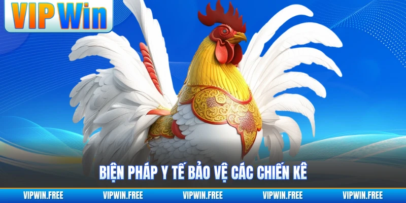 Biện pháp y tế bảo vệ các chiến kê