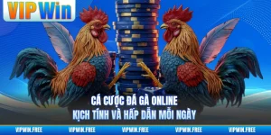 Cá Cược Đá Gà Online - Kịch Tính Và Hấp Dẫn Mỗi Ngày 