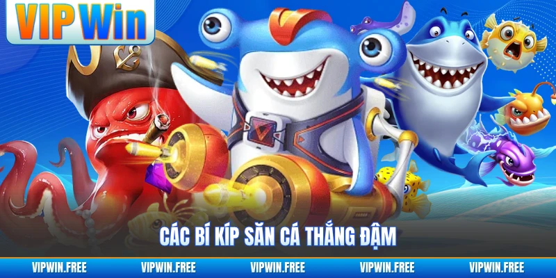 Các bí kíp săn cá thắng đậm