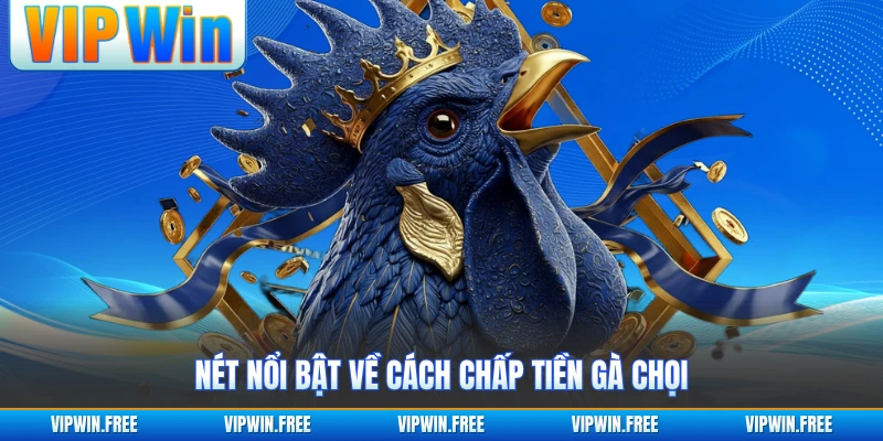 Nét nổi bật về cách chấp tiền gà chọi